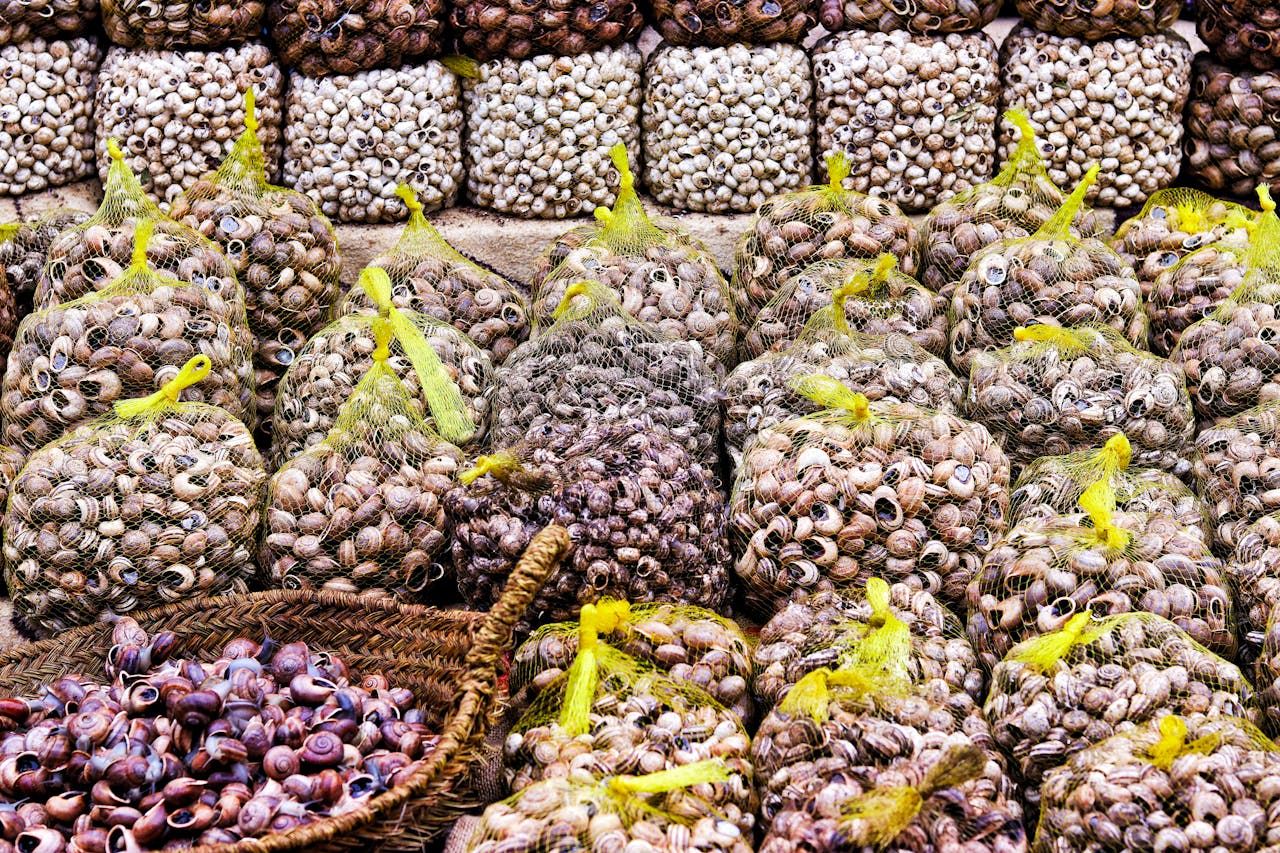 A vibrant display of net bags filled with fresh snails at a local market in Oujda, Morocco.
